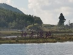 -腾冲北海湿地