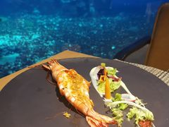 -海棠湾洲际-涛·海底餐厅·美人鱼·自助餐·海底隧道