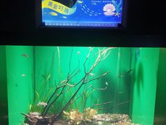 -常州海昌海洋探索馆