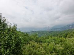 -白水寺森林公园
