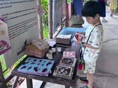 -大象粑粑造纸公园