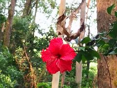 -南国桃园旅游度假区