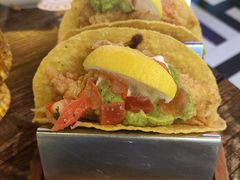 -Famous肥猫墨西哥音乐餐吧(五棵松华熙LIVE店)