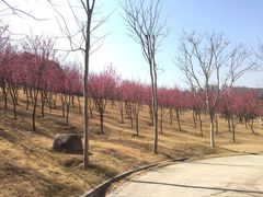 -牛岗山公园