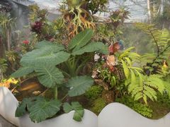 -北京植物园-展览温室