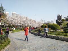 -堤角公园