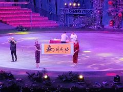 -灵玲国际马戏城