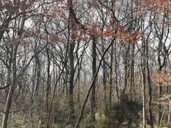 -WeLope紫金山探险公园