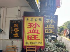 -平乐古镇孙血旺
