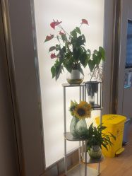 -杭州海亮医院 · 禾芸嘉医美中心
