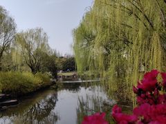 -上海滨江森林公园