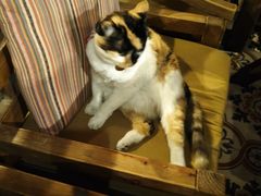 -BUND·FIVE外滩5号(天际店)