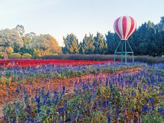 -南沙蒲洲花园