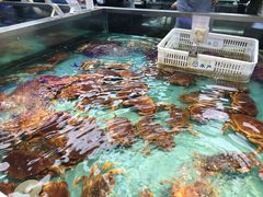 -盒马鲜生(宝地店)