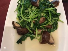 香菇青菜-扬州饭店(东关街店)