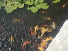 -呼兰河口湿地公园