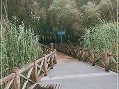 -鱼嘴湿地公园