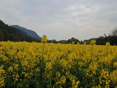 -贵阳市花溪国家城市湿地公园