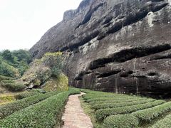 -武夷山风景名胜区-虎啸岩