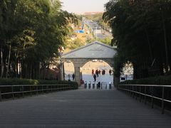 -上海佘山国家森林公园西佘山园