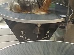 -宠物世家(仲盛世界商城店)