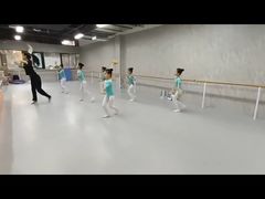 -舞蕾舞蹈(特长生校区)