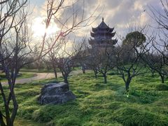 -上海海湾国家森林公园