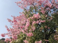 -中国移动南方基地