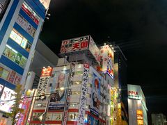 -秋叶原电器街