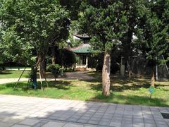 -长沙市青少年宫