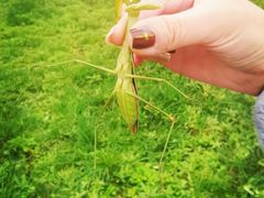 -潭柘厚院(桑峪村店)