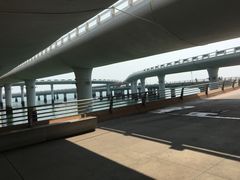 -演武大桥观景平台