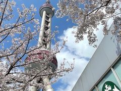 -东方明珠广播电视塔