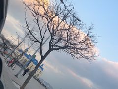 -黑石礁公园