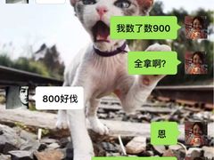 -齐岸健身(花园城店)