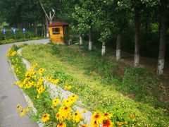 -东郊湿地公园