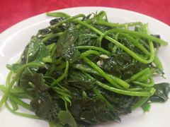 -蛇口康乐快餐鱼仔档(翠苑小区店)