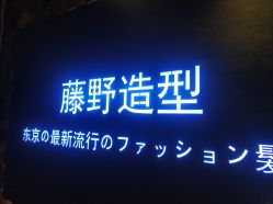 点击看大图 -藤野造型