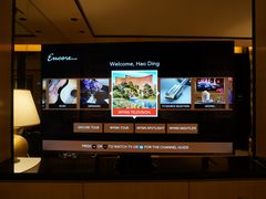 -拉斯维加斯永利酒店