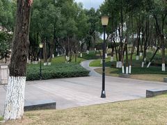 -重庆市江北嘴中央商务区中央公园