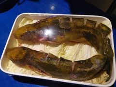 黄辣丁-马路边边串串香(大成路店)