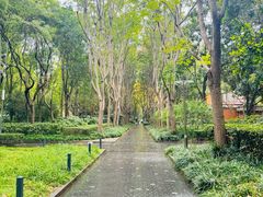 -徐家汇源景区-衡山坊