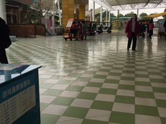 -百万葵园