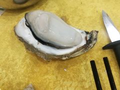 -蚝专家(北滘店)