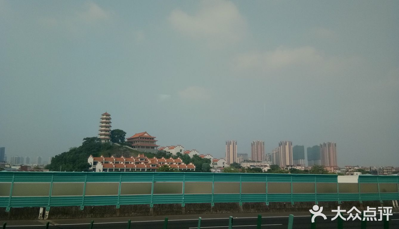 春日出游攻略3  云梯山的黄花铃木开啦