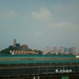 春日出游攻略3  云梯山的黄花铃木开啦