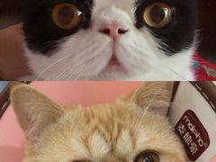 -美迦爱-牙专科·兔科·骨科诊疗中心(北苑店)