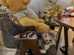 -咖法森林·咖啡  酒吧(天河店)