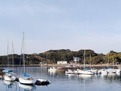 -西海国立公园九十九岛水族馆