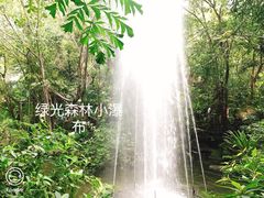 -绿光森林餐厅
